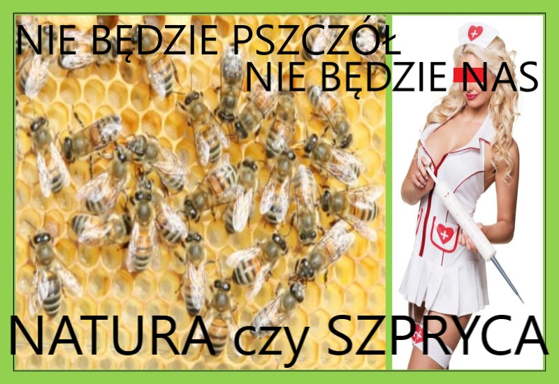 Uwolnić się od konowała.